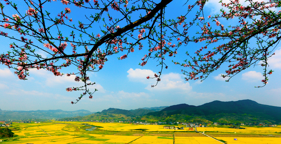 201005312206243.jpg
